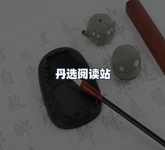 关于丹选阅读站